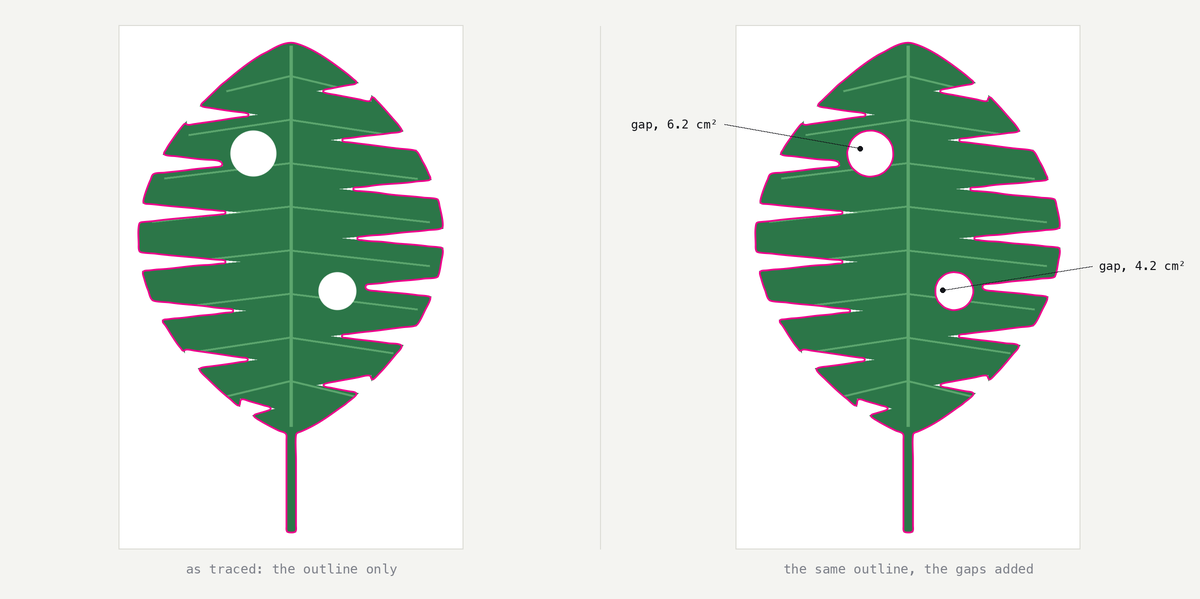 The same traced leaf twice. On the left the magenta cut is the outline only, and the two round gaps the leaf encloses sit inside it untouched. On the right the outline is identical, curve for curve, and each gap now carries a closed path of its own, labelled 6.2 cm² and 4.2 cm².