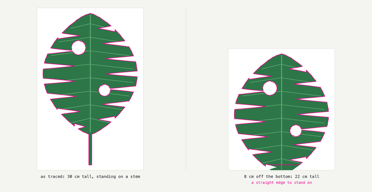 The same traced leaf twice. On the left it is 30 cm tall and the cut follows the silhouette all the way down its narrow stem, which is all the piece has to stand on. On the right 8 cm has been taken off the bottom: the stem is gone, the piece is 22 cm tall, and the cut runs dead straight across the full width of what is left.